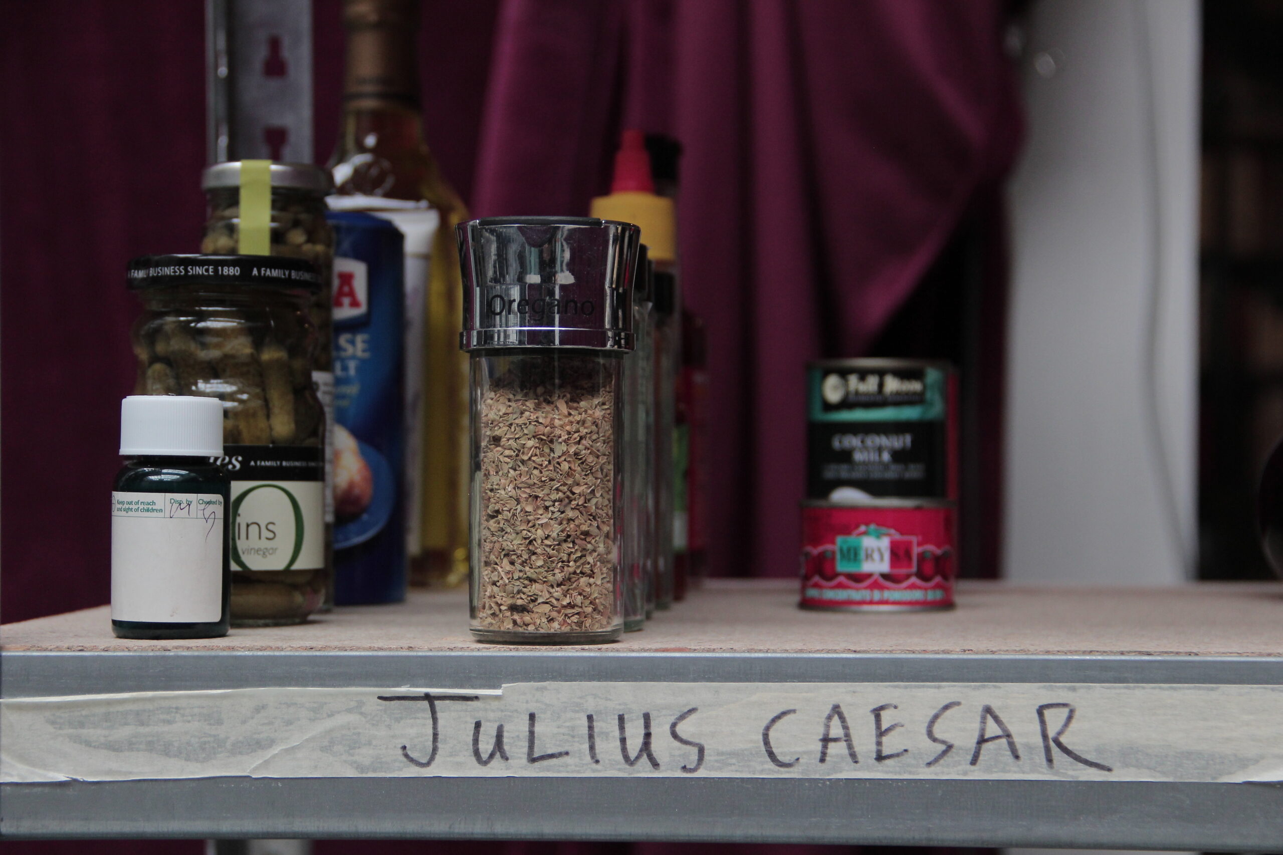 Julius Caesar.<br>Table Top Shakespeare: At Home Edition